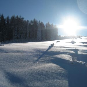 Winter_2
